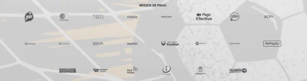 Medios de pago en el pie de página de Doradobet casino Perú: Yape, Mastercard, Visa, Niubiz, SafetyPay, PagoEfectivo, Plin, BCP, Interbank, Scotiabank, BBVA, Kashio, KasNet, Tambo y Western Union